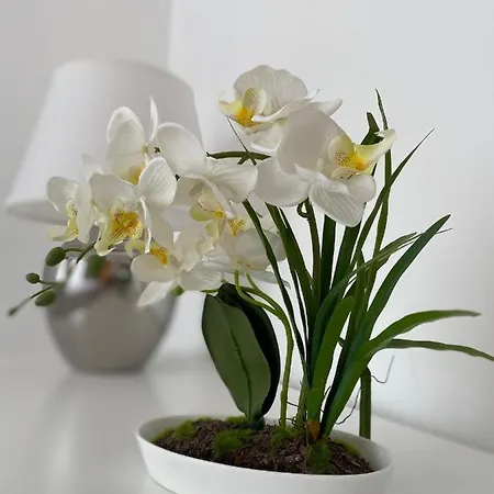 Blue Sky Marina Apartament